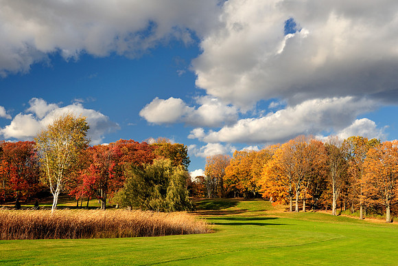 Autumn landscape