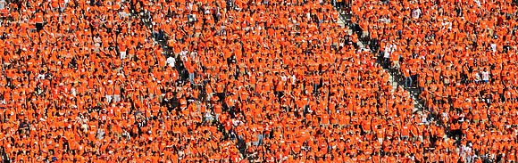 Sea of orange
